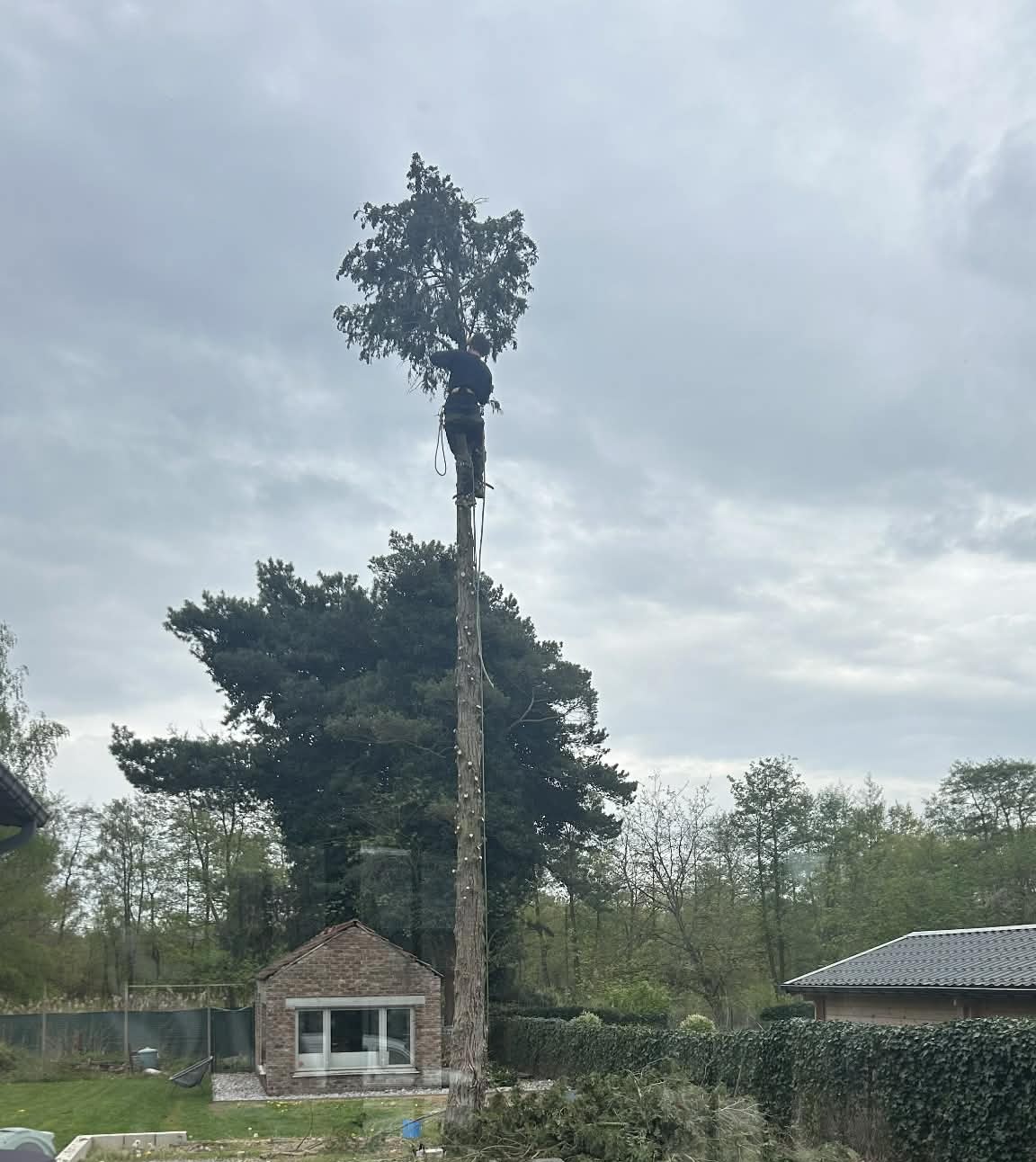 Gecontroleerd vellen
